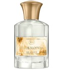 parfém Citrus Blossom