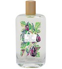 Beau de Provence Fragonard