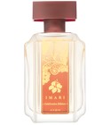 Imari Celebration Edition Avon