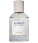 Salt & Sun Blue Scents
