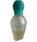 parfém Ciprus