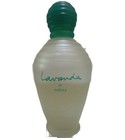 parfém Lavanda