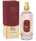 Rose 4 Reines L'Occitane en Provence