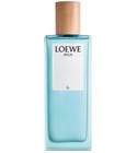 LOEWE AIRE 香水 50ml SUTILIZA LOEWE Aire Sutileza 50ml | LOEWE Perfumes