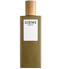 Esencia pour Homme Loewe