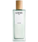 Aire Sutileza Loewe perfume - a fragrance for women 2017