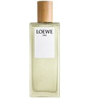 LOEWE AIRE SUTILEZA 50ML ユニセックス香水 LOEWE Aire Sutileza Eau de Toilette 50ml Colourless - LOEWE