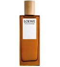 Loewe Pour Homme Loewe