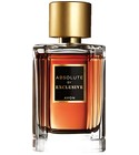 Absolute by Exclusive Avon