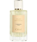Tuberosa 1974 Chloé