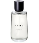 やーすけ【期間限定】SHIRO SPRING LETTER 50ml Spring Letter Shiro perfume - a new fragrance for women 2023