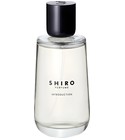 Introduction Shiro