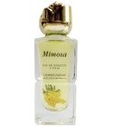 parfém Mimosa