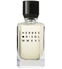 parfém HERBES