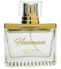 Hammam Avgerinos