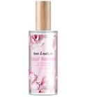parfém Sugar Magnolia