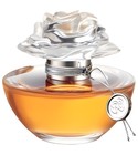 parfém In Bloom by Reese Witherspoon
