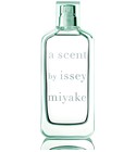 A Scent by Issey Miyake Issey Miyake