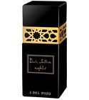 Dark Saffron Nights Jesus Del Pozo