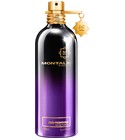 Oud Pashmina Montale
