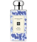 parfém Wild Bluebell (2020)
