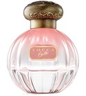 Belle Tocca