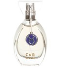 Taurus CnR Create