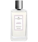Lavande Espiègle Plantes & Parfums