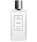 Fleur de Figuier Plantes & Parfums