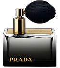 parfém L'Eau Ambree