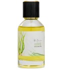 Ushirā Parfums Karmic Hues