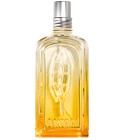Verveine Agrumes 2020 L'Occitane en Provence