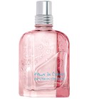 Fleurs de Cerisier Infusion Fruitée L'Occitane en Provence