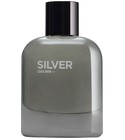 Silver Zara