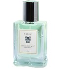 Moonlight Mint Black Paw