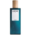 Loewe 7 Cobalt Loewe