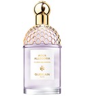 parfém Aqua Allegoria Flora Salvaggia