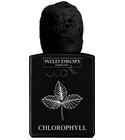 parfém Chlorophyll