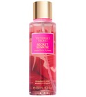 Secret Sunrise Victoria's Secret