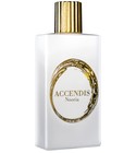 Nooria Accendis