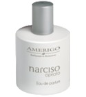 Narciso Cipriato Amerigo