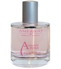 Armonia Rosa Amerigo