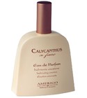 Calycanthus In Fiore Amerigo