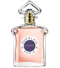Samsara Eau de Parfum Guerlain 香水- 一款2021年女用香水