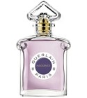 Insolence Eau de Parfum Guerlain
