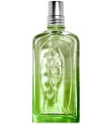 Verveine Cactus L'Occitane en Provence