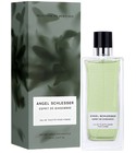 parfém Esprit de Gingembre Pour Homme