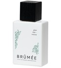 parfém Pine Tree + Vetiver