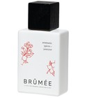 parfém Aromatic Spices + Jasmine