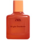 Bright Gardenia Zara